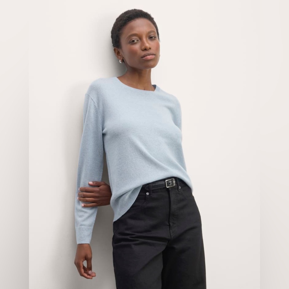 Everlane The Classic Crew in Cashmere Size M